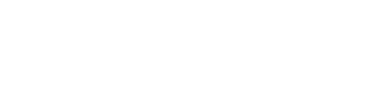 MAEZAWA holdings