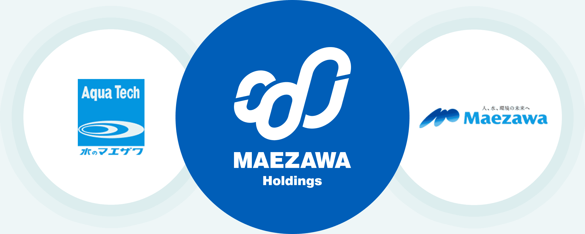 MAEZAWA holdings